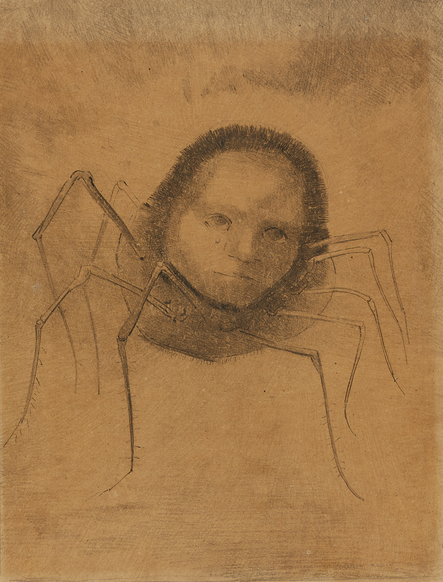 L&rsquo;araign&eacute;e qui pleure, um 1880